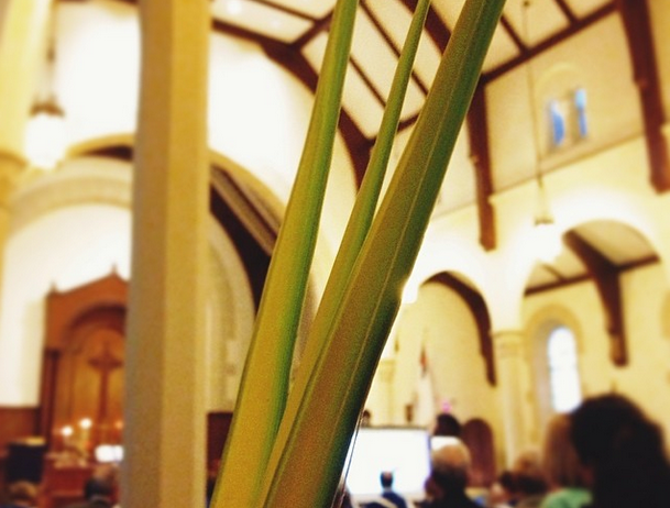 Featured image for “The Failure of Palm Sunday”