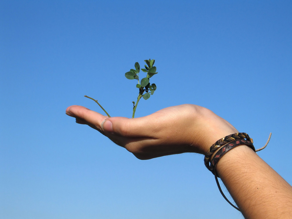 Featured image for “Why Women Don’t Plant Churches (and How to Change It)”