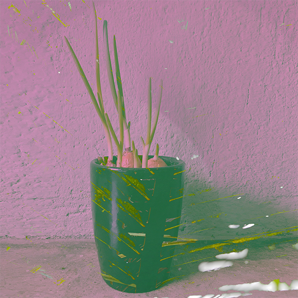 Featured image for “Spring Walks, Parrot Squawks, and Signs of Resurrection”