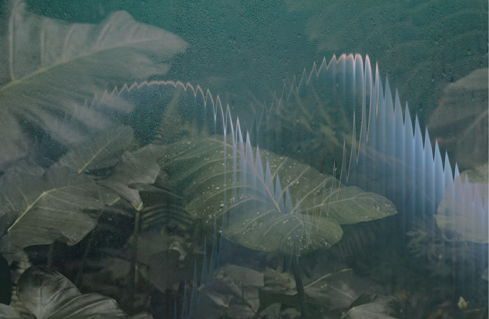 Featured image for “God Finds Us In Nature: An Environment of Healing”