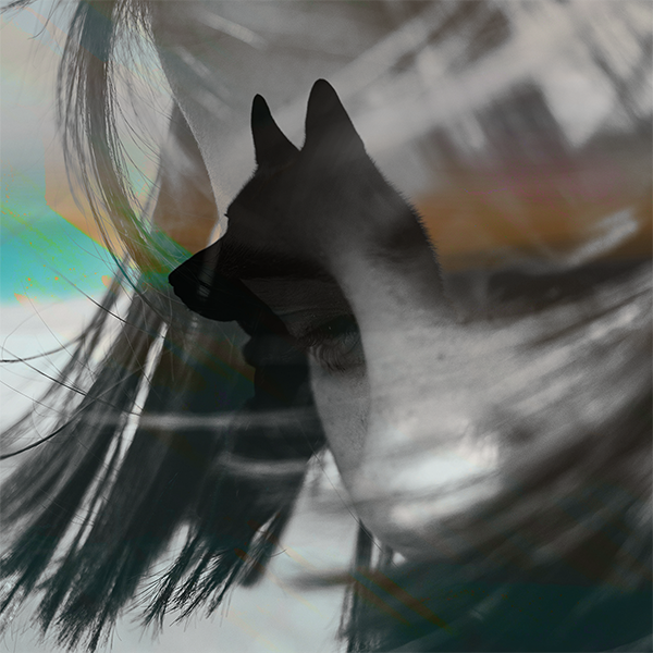 Featured image for “Wolves in Shepherd’s Clothing”