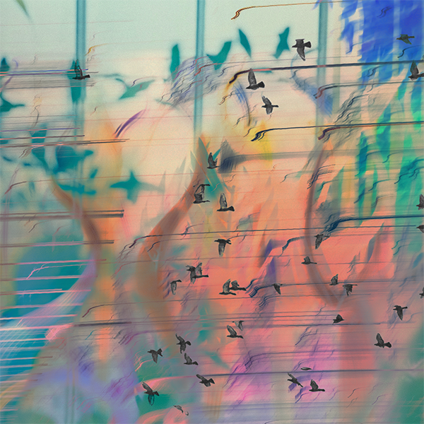 Featured image for “A Crisis of Control: On Letting Go of Power”