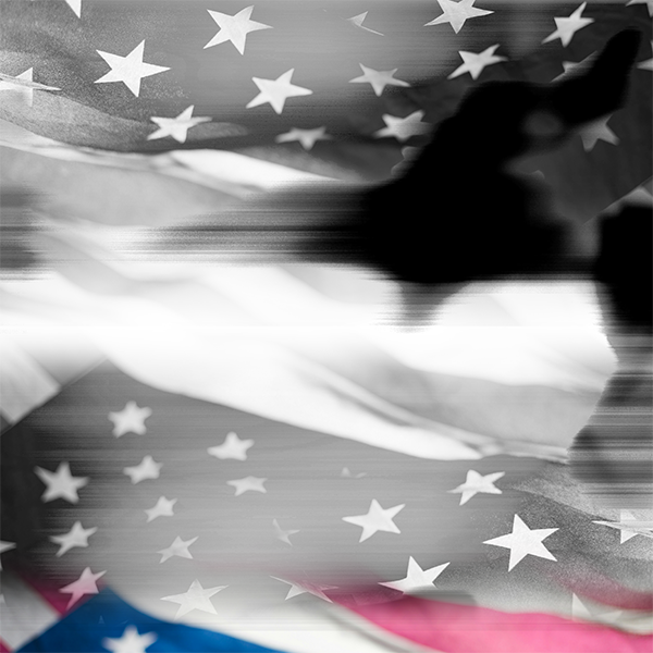 Featured image for “A (Needed) Conversation on Christian Nationalism and the Prosperity Gospel”