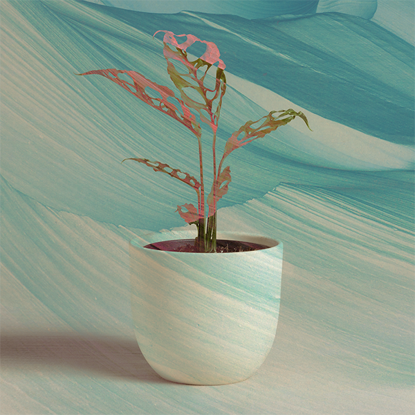 Featured image for “Unanswered Prayer”