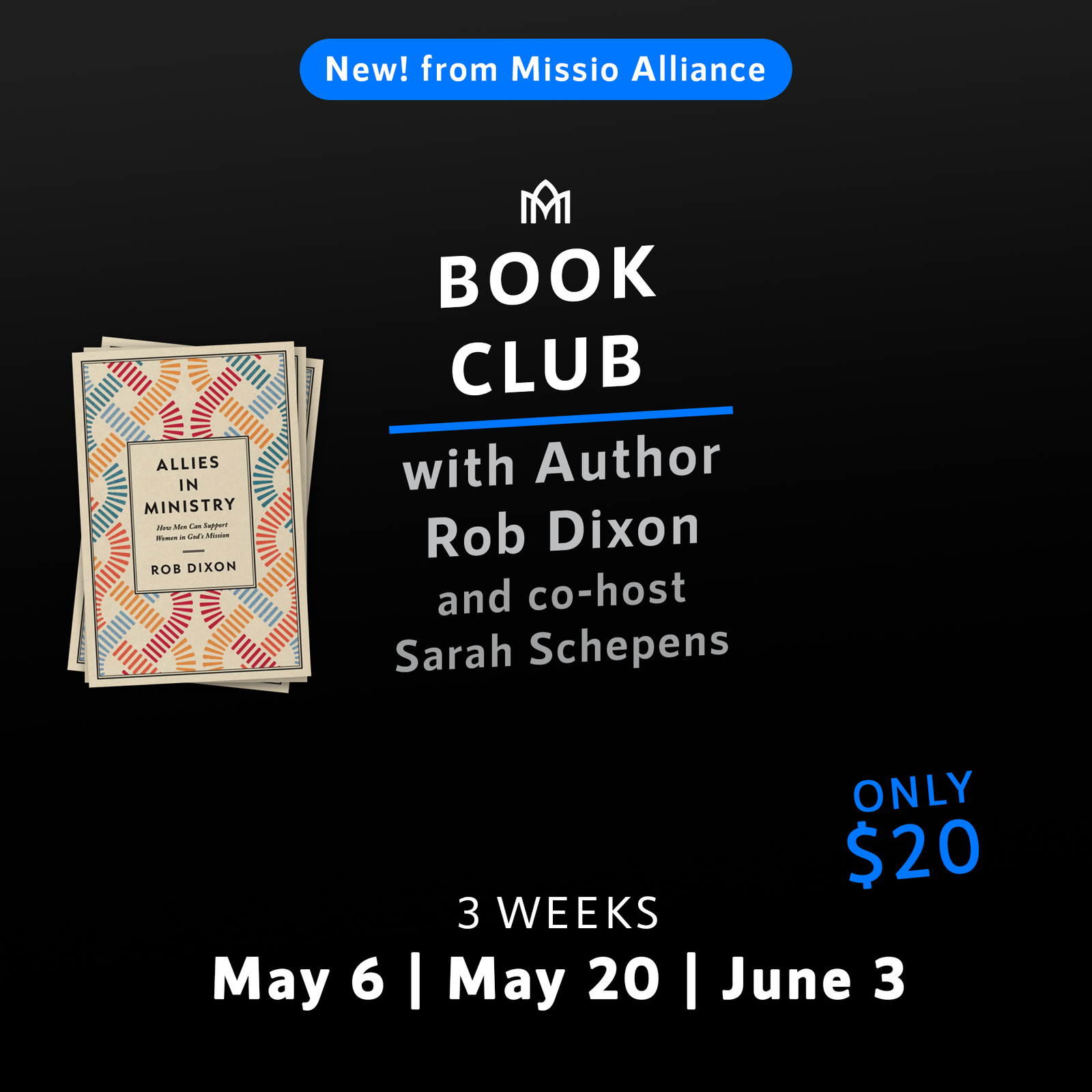 Featured image for “Book Club: Allies in Ministry”