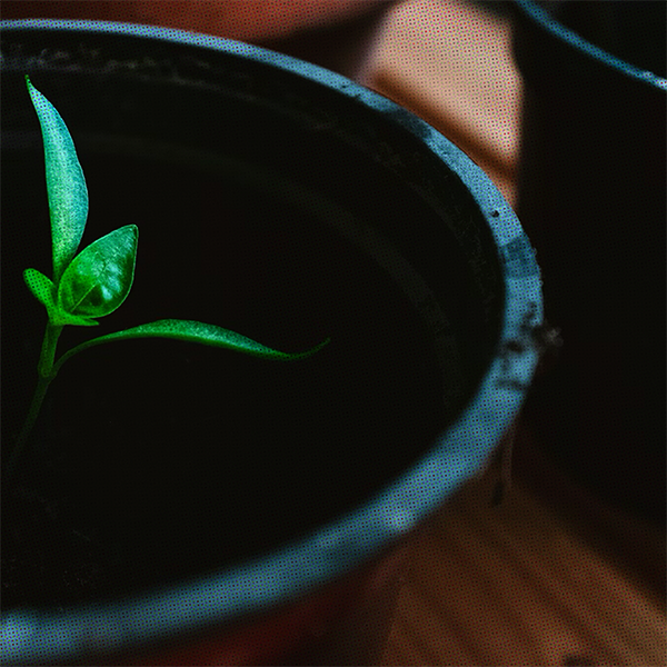 Featured image for “In the Fields of the Lord: Living with Dual Attention in Ministry”